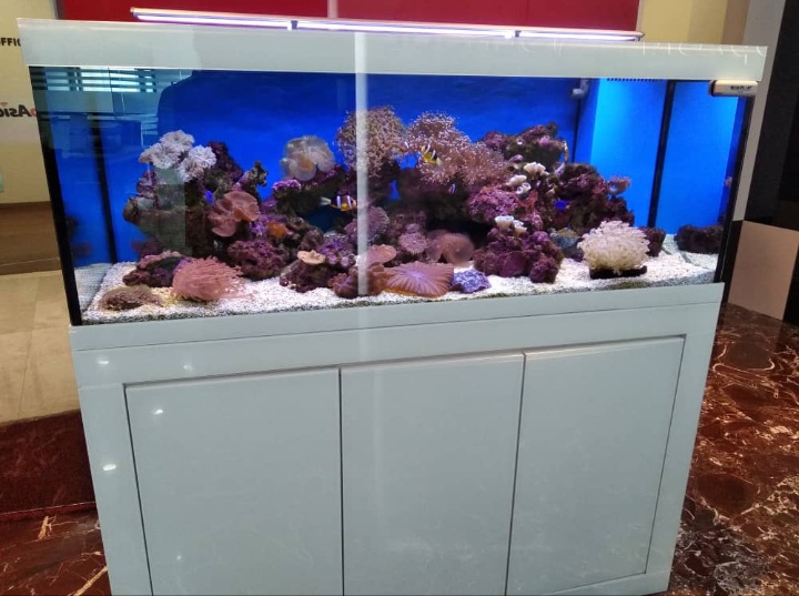 TankQ Aquarium 3