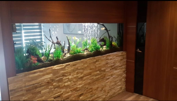 TankQ Aquarium 4