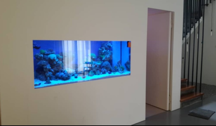 TankQ Aquarium 10