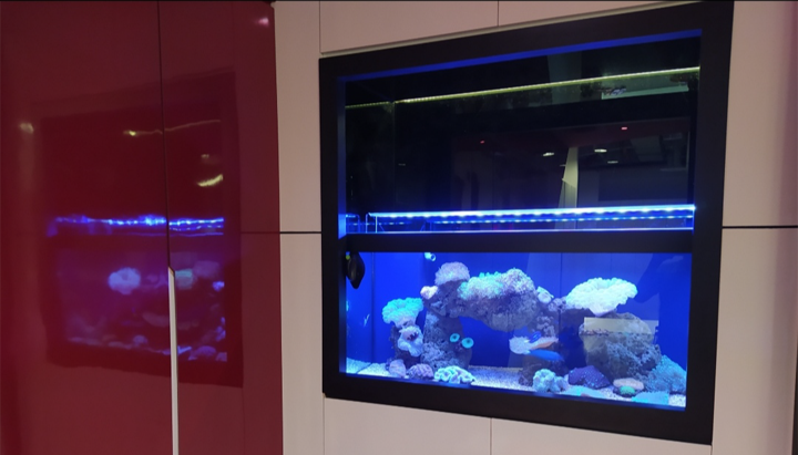 TankQ Aquarium 8